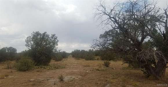 38.3 Acres of Recreational Land & Farm for Sale in Peach Springs, Arizona