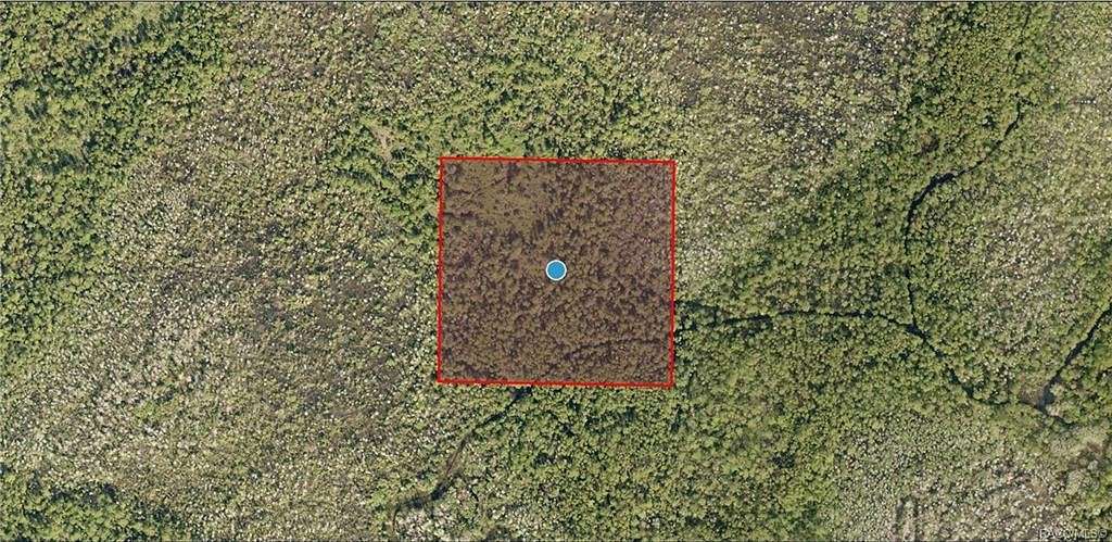 10 Acres of Residential Land for Sale in Clermont, Florida