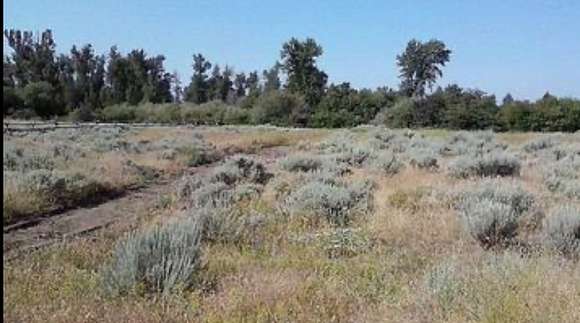 4.1 Acres of Improved Land for Sale in St. Anthony, Idaho