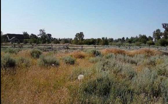 Looking east on property