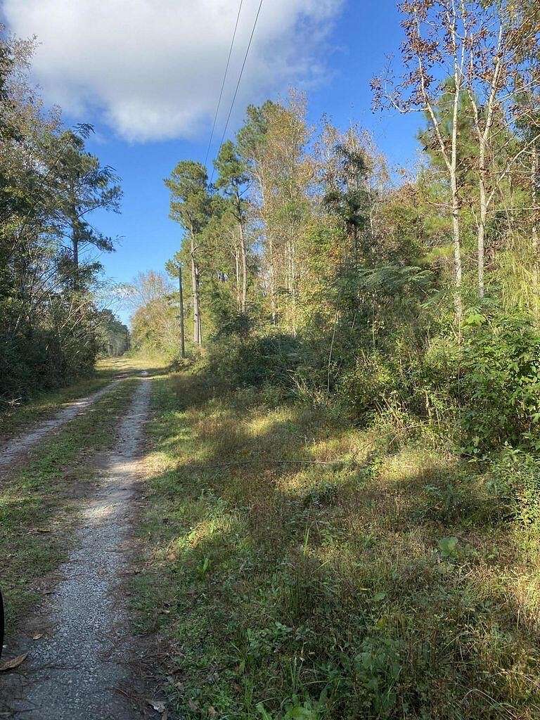 1.1 Acres of Land for Sale in Cross, South Carolina
