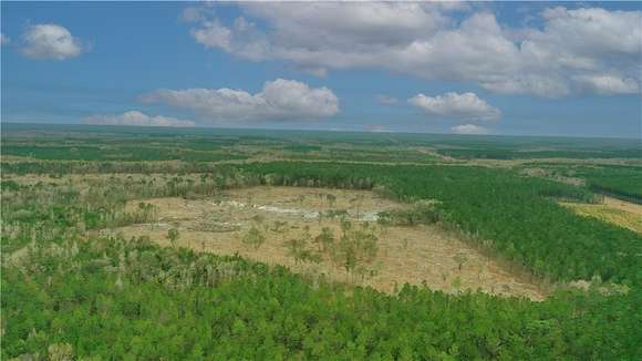 51.7 Acres of Agricultural Land for Sale in Riceboro, Georgia