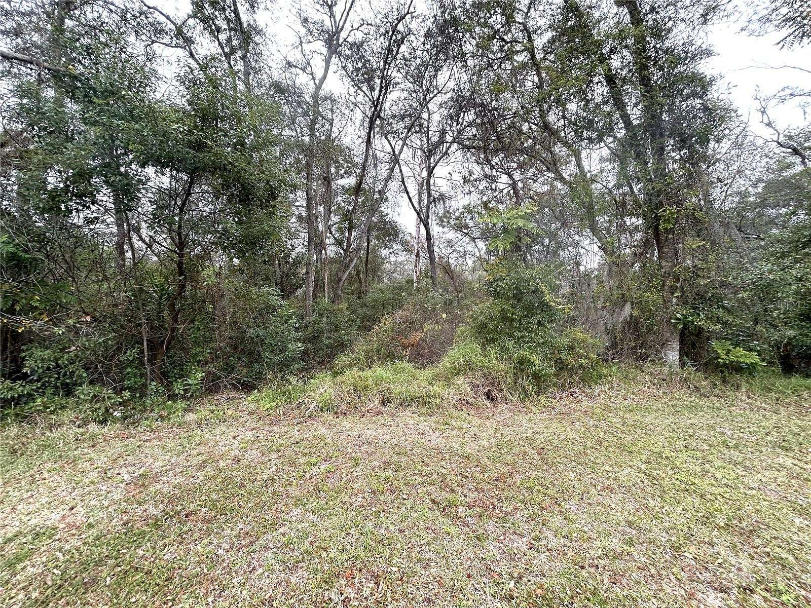 2.7 Acres of Residential Land for Sale in Orlando, Florida