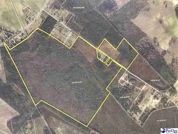 230 Acres of Recreational Land for Sale in Hamer, South Carolina