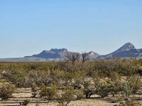 10 Acres of Recreational Land for Sale in Terlingua, Texas