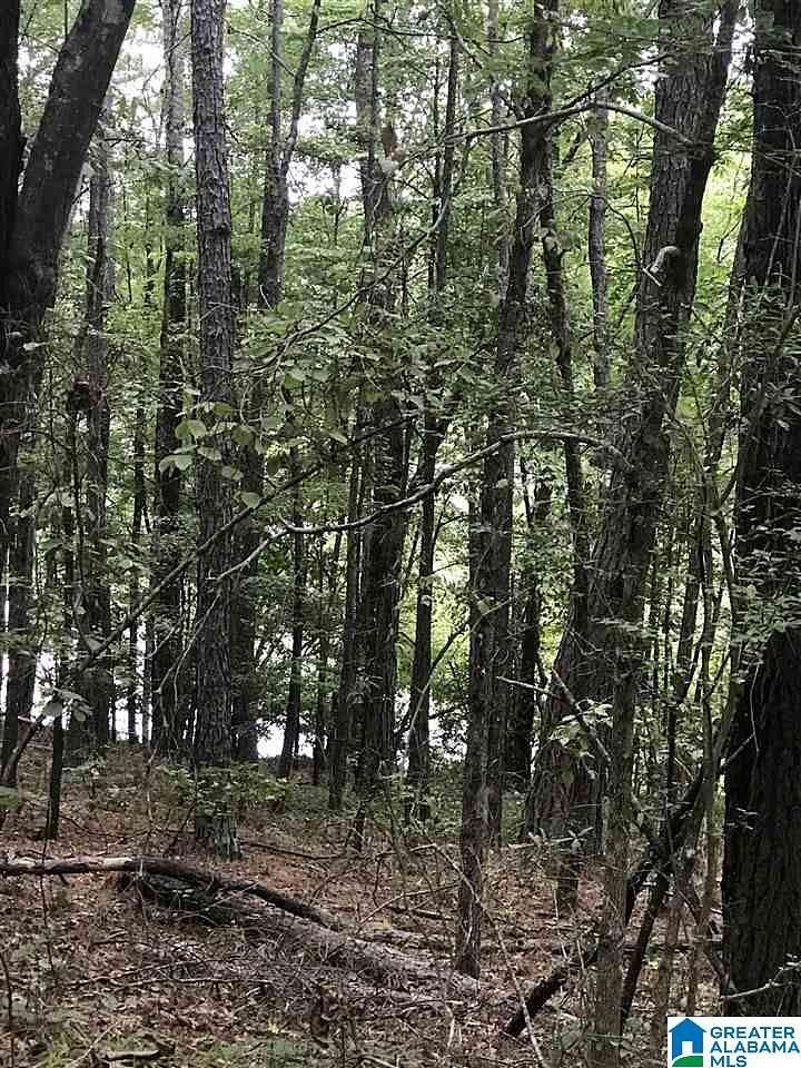 0.18 Acres of Residential Land for Sale in Alpine, Alabama