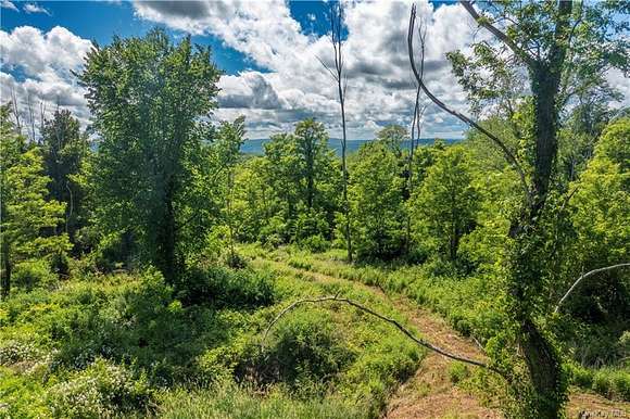 9.31 Acres of Land for Sale in Pawling, New York