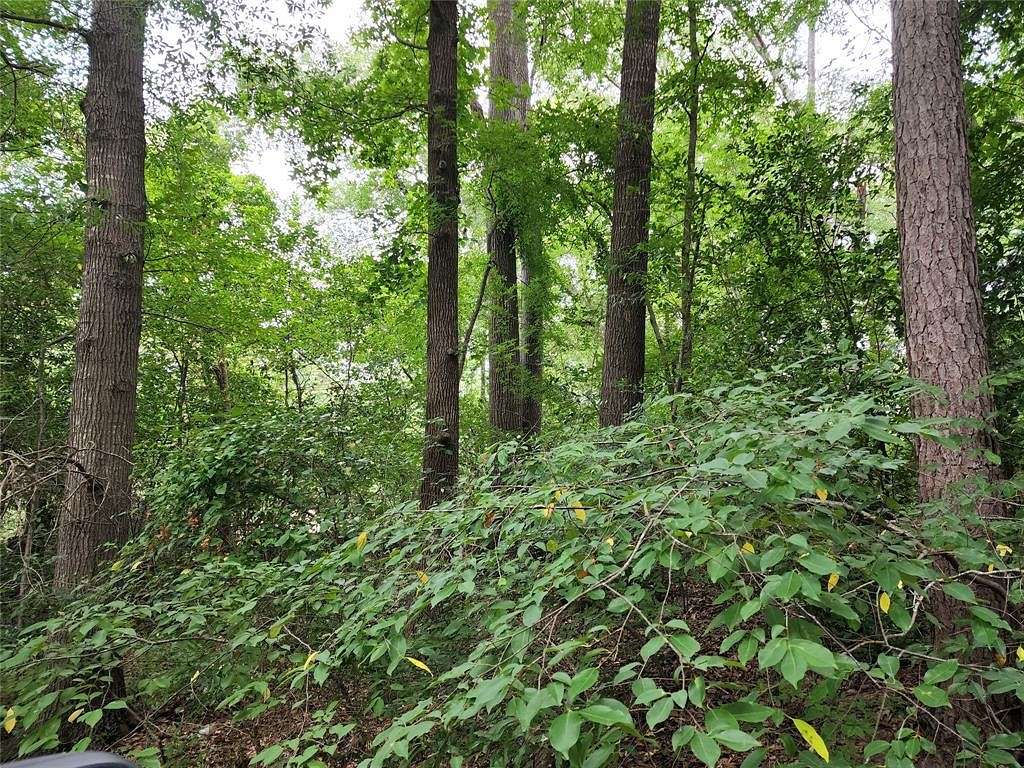 0.24 Acres of Land for Sale in Quitman, Texas