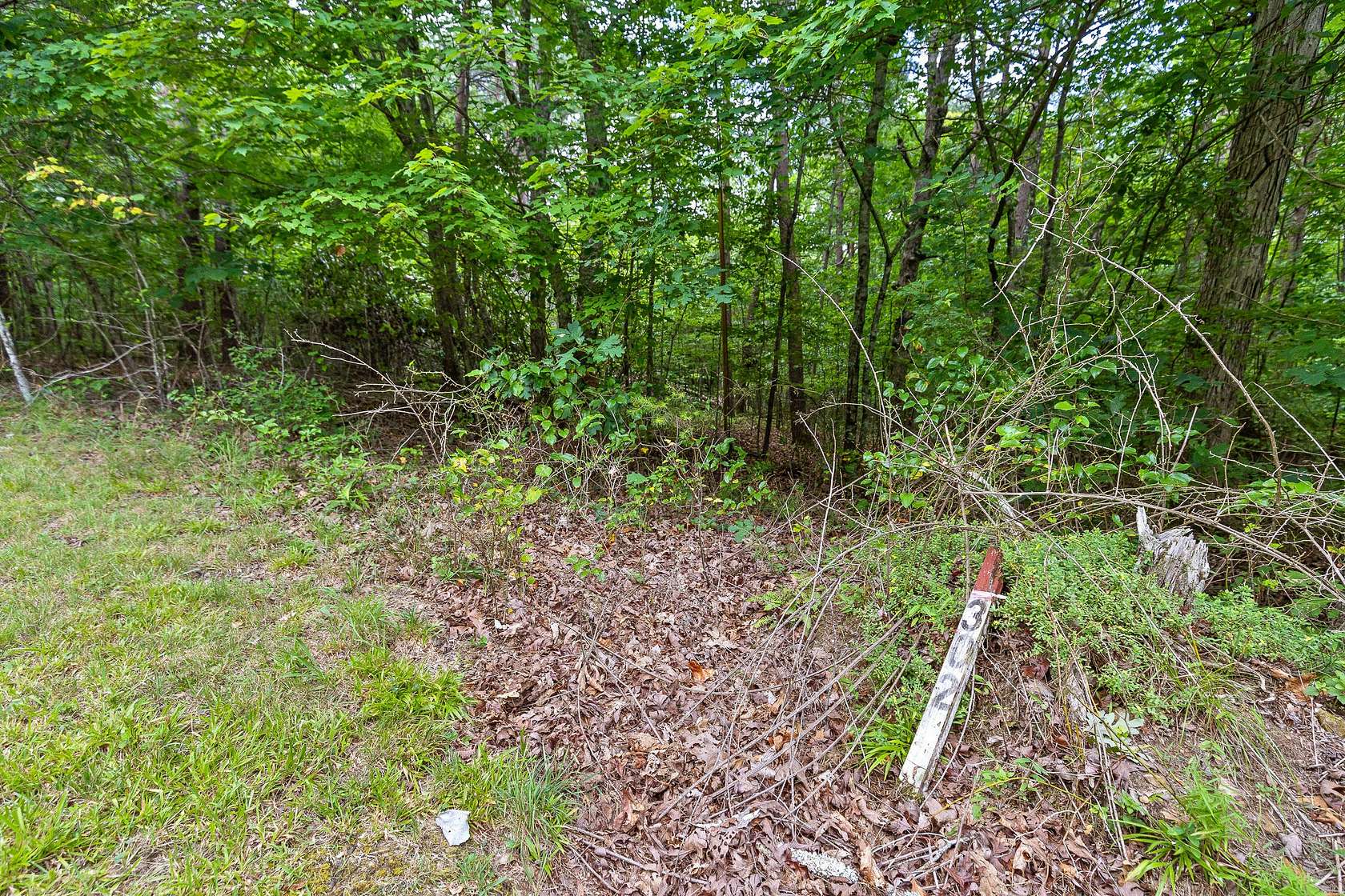 5 Acres of Land for Sale in Monteagle, Tennessee