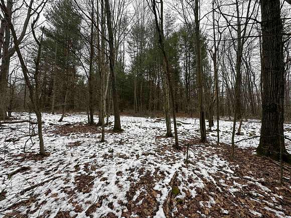 12 Acres of Recreational Land for Sale in Lindley, New York