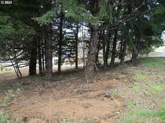 0.52 Acres of Land for Sale in Carson, Washington