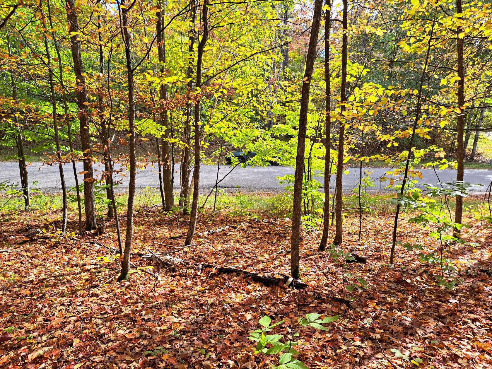 0.38 Acres of Land for Sale in Gaylord, Michigan