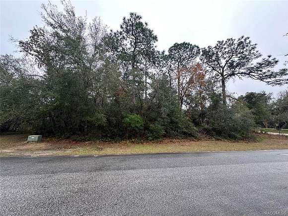 0.92 Acres of Residential Land for Sale in Lecanto, Florida