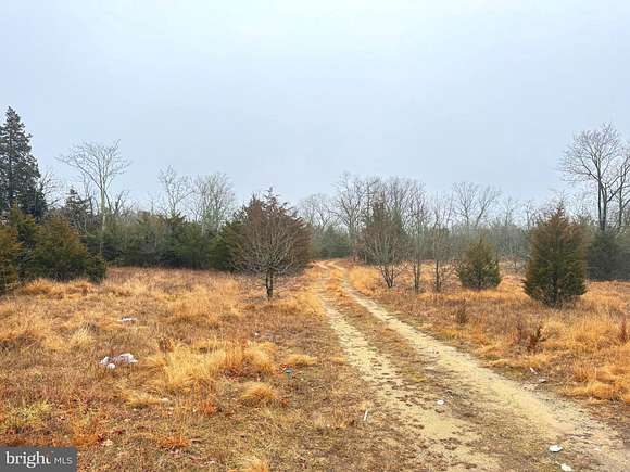 12.5 Acres of Land for Sale in Vineland, New Jersey