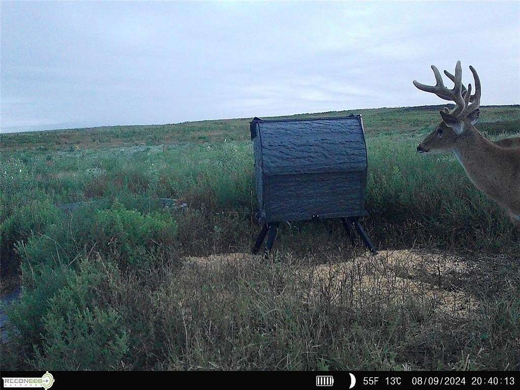 969 Acres of Land for Sale in Hooker, Oklahoma