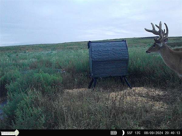 969 Acres of Land for Sale in Hooker, Oklahoma