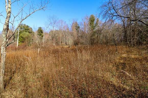 0.5 Acres of Residential Land for Sale in Fancy Gap, Virginia