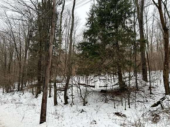 13.61 Acres of Recreational Land for Sale in Roulette, Pennsylvania