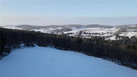 132 Acres of Improved Recreational Land for Sale in Guilford, New York