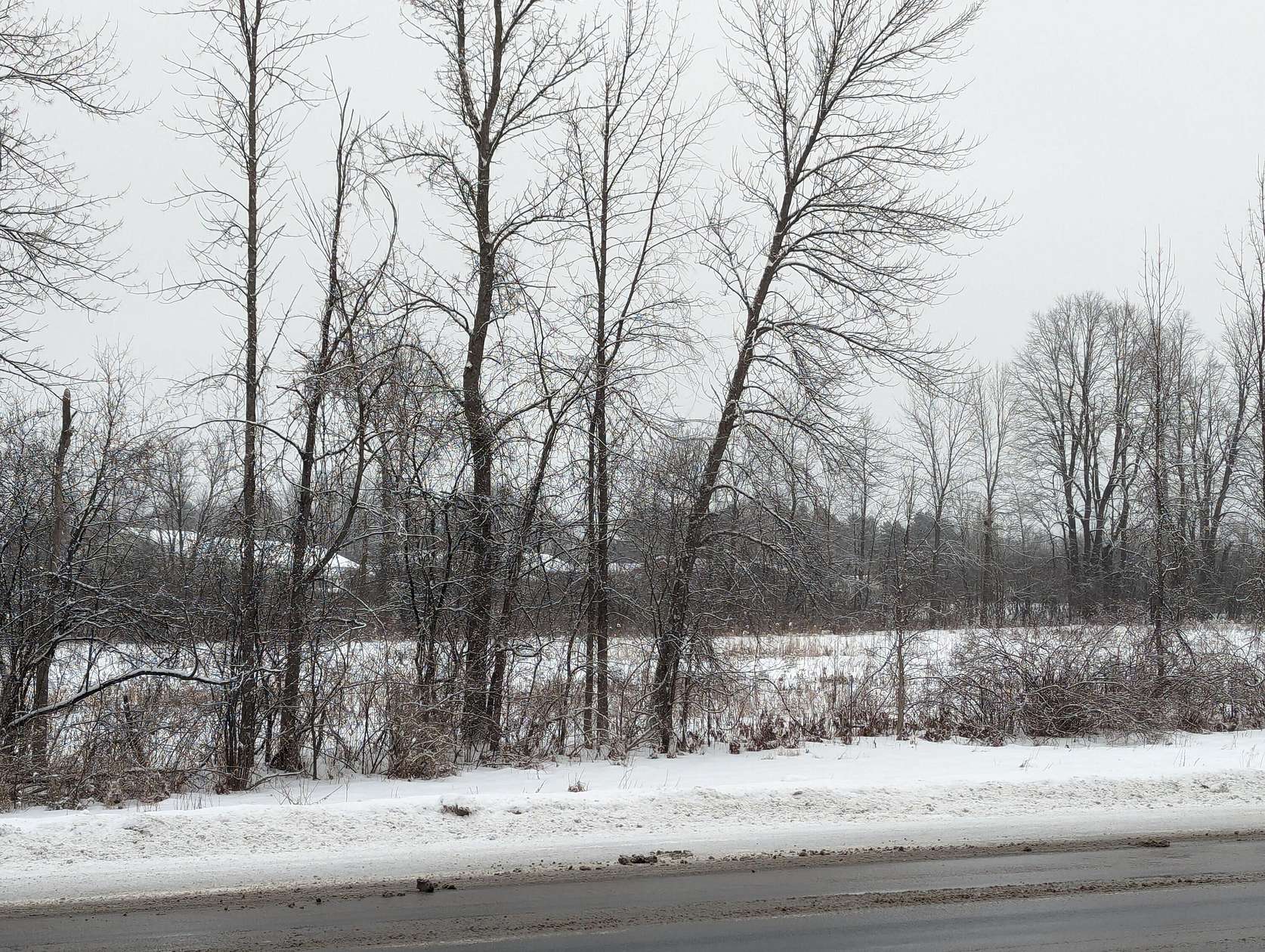 26.3 Acres of Agricultural Land for Sale in Plattsburgh, New York