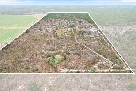 69.9 Acres of Land with Home for Sale in Williston, Florida