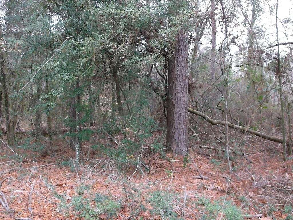 33 Acres of Recreational Land for Sale in Tylertown, Mississippi