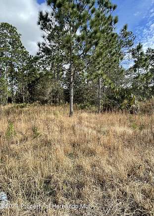 1.5 Acres of Commercial Land for Sale in Weeki Wachee, Florida