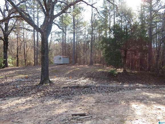 30 Acres of Land for Sale in Centreville, Alabama
