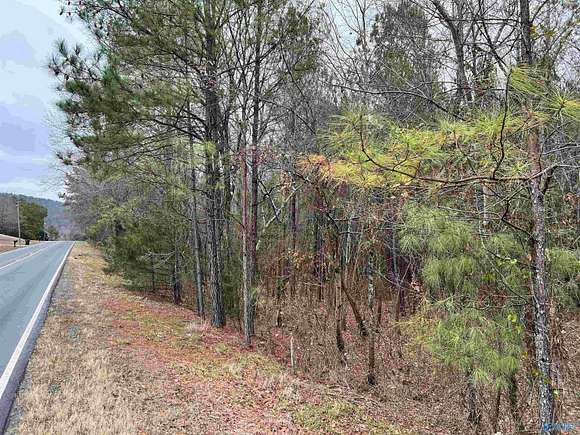 39 Acres of Land for Sale in Southside, Alabama