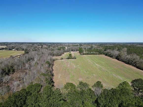 32.5 Acres of Recreational Land & Farm for Sale in Whigham, Georgia