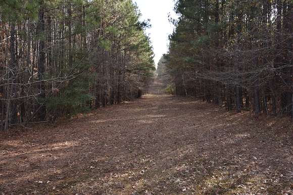 36 Acres of Recreational Land for Sale in Haynesville, Louisiana ...