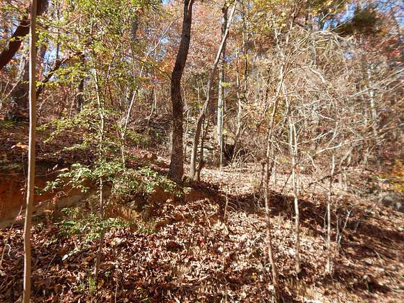 0.92 Acres of Residential Land for Sale in Mentone, Alabama