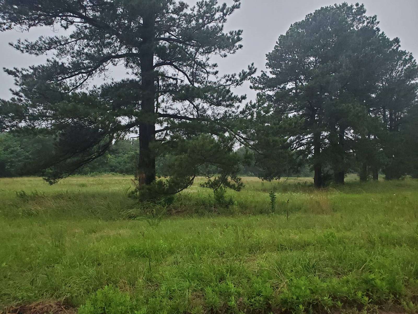 4.8 Acres of Land for Sale in Hugo, Oklahoma