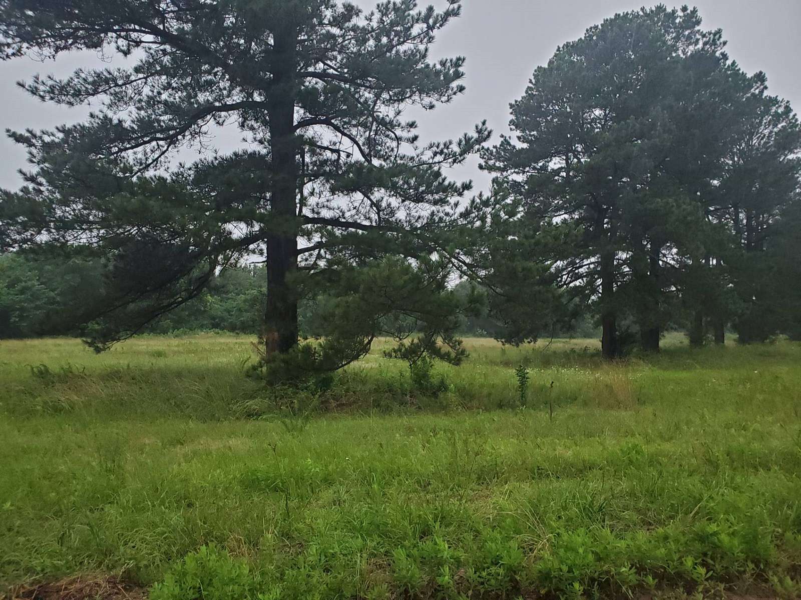 4.77 Acres of Land for Sale in Hugo, Oklahoma