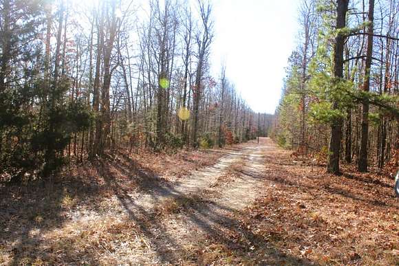 40 Acres of Land for Sale in Mountain View, Arkansas