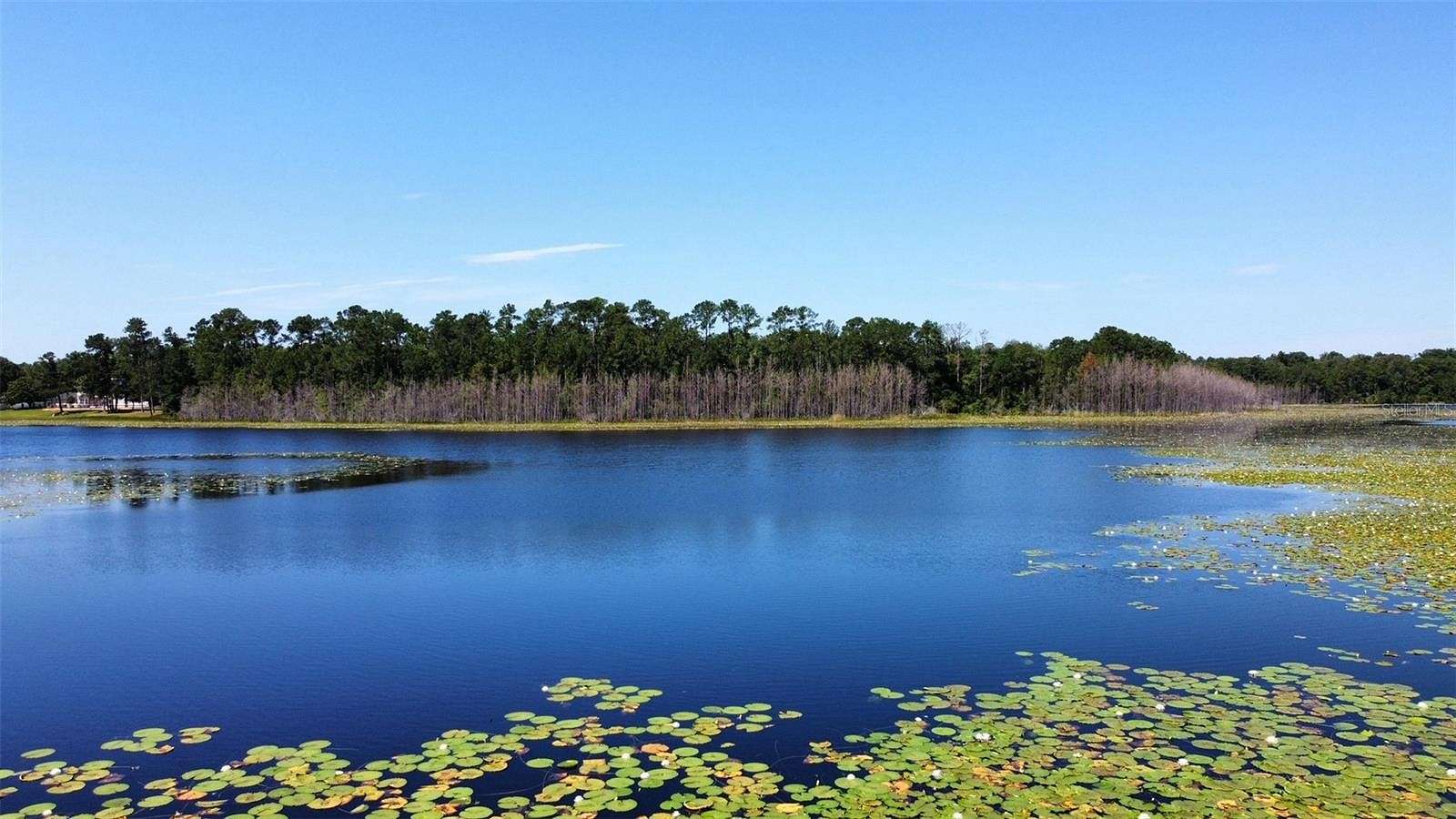 7.49 Acres of Residential Land for Sale in Altoona, Florida