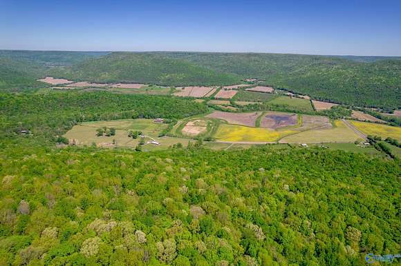 220 Acres of Land for Sale in Fackler, Alabama
