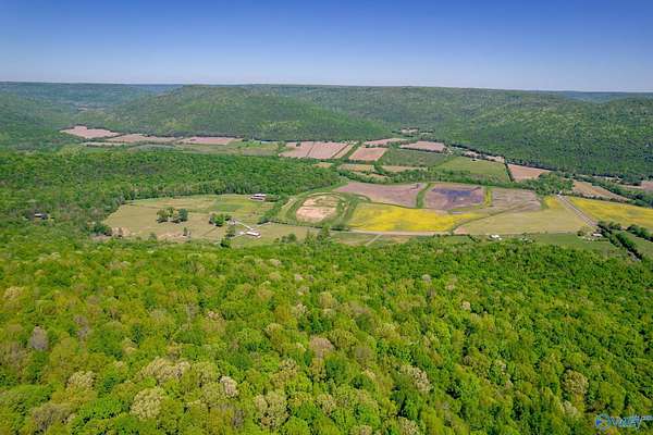 231 Acres of Land for Sale in Fackler, Alabama