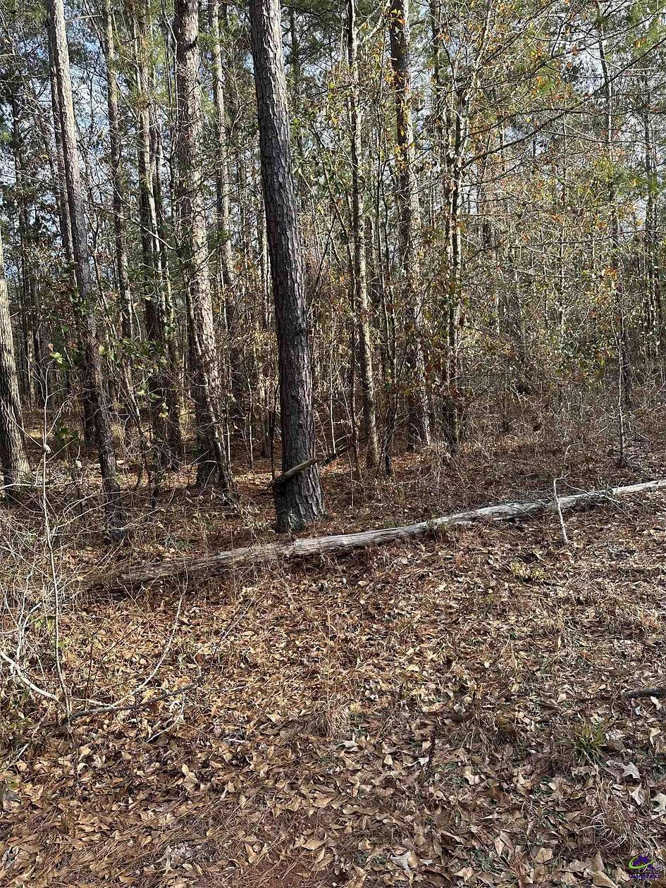 8.4 Acres of Land for Sale in Hawkinsville, Georgia