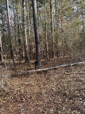 8.39 Acres of Residential Land for Sale in Hawkinsville, Georgia