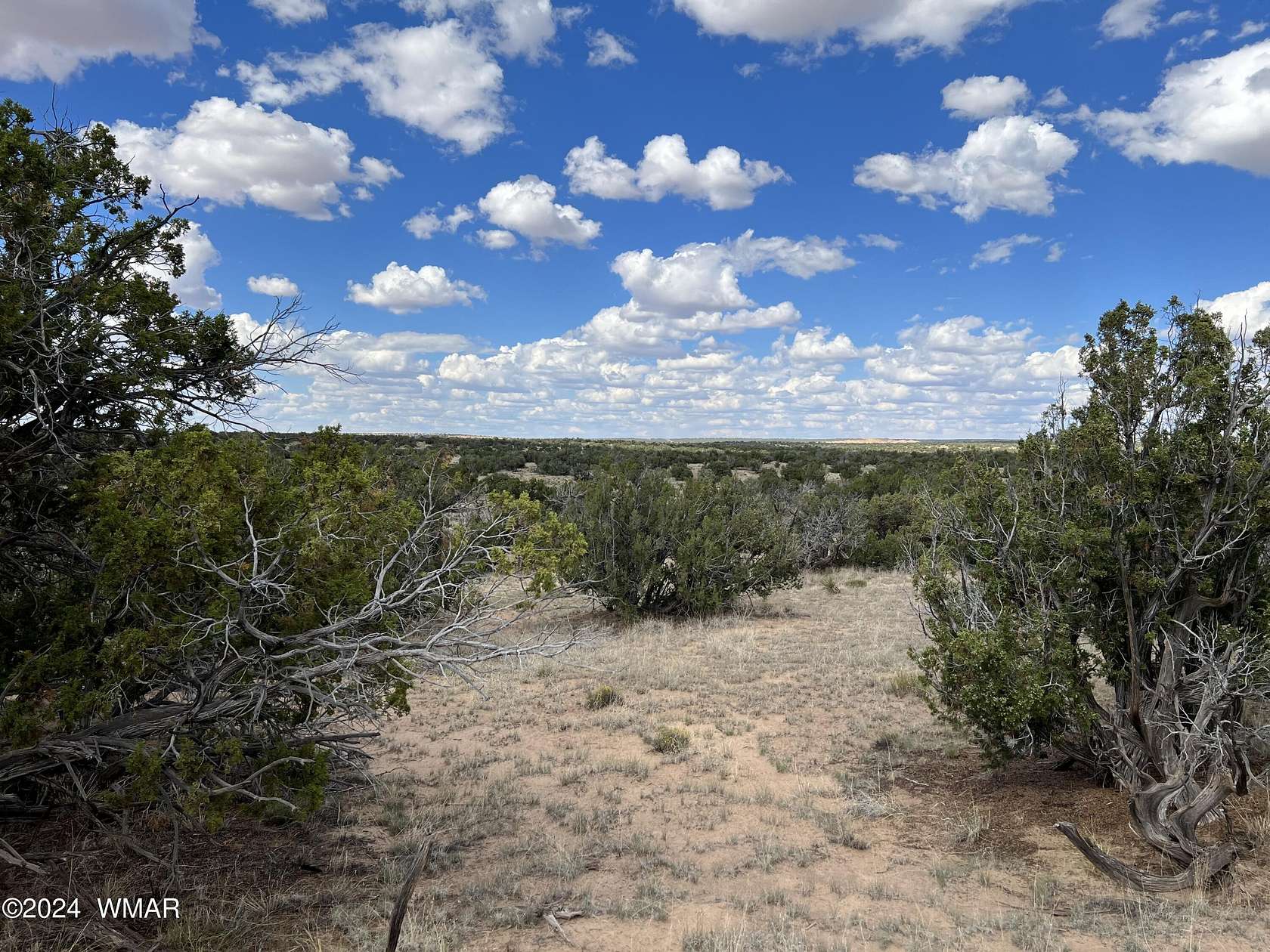 37.8 Acres of Recreational Land & Farm for Sale in St. Johns, Arizona