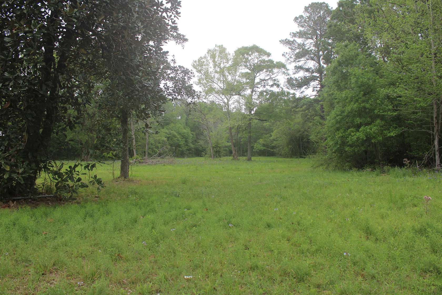 2 Acres of Residential Land for Sale in Kirbyville, Texas