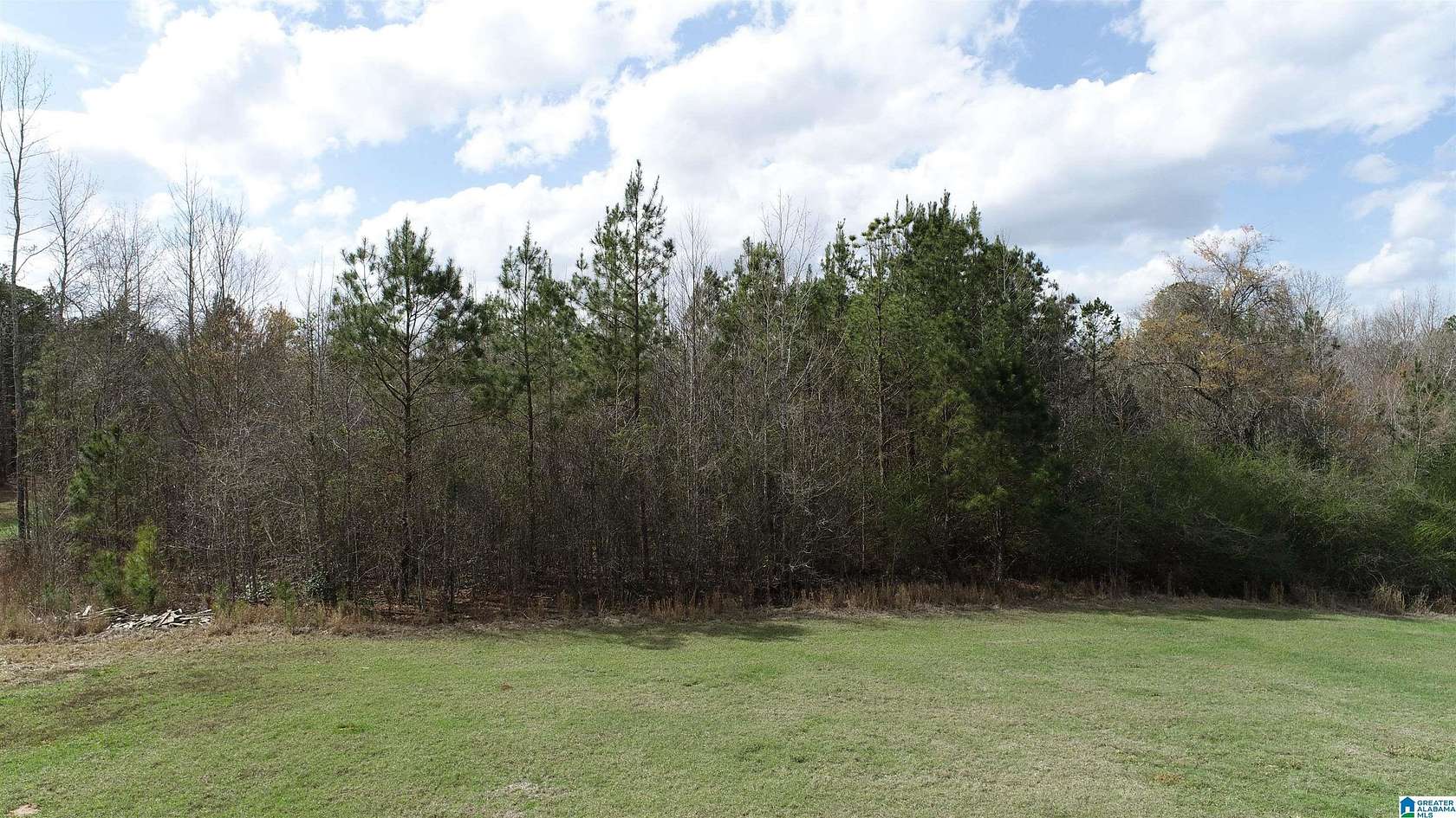 54.6 Acres of Land for Sale in Wedowee, Alabama