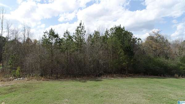 54.6 Acres of Land for Sale in Wedowee, Alabama