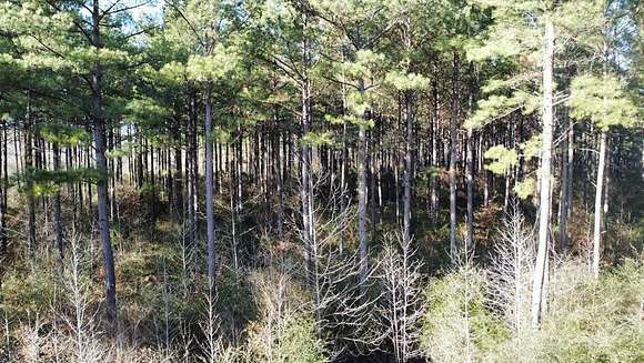 200 Acres of Recreational Land for Sale in Wesson, Mississippi