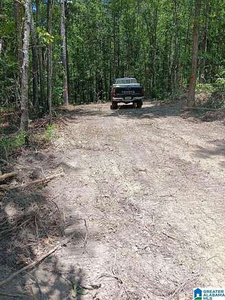 16.48 Acres of Land for Sale in Alpine, Alabama