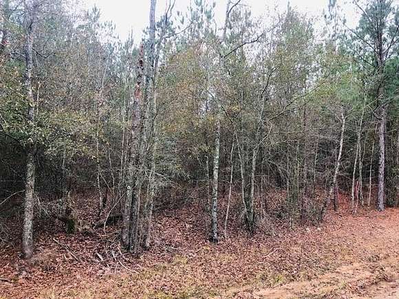 1 Acre of Residential Land for Sale in Uvalda, Georgia