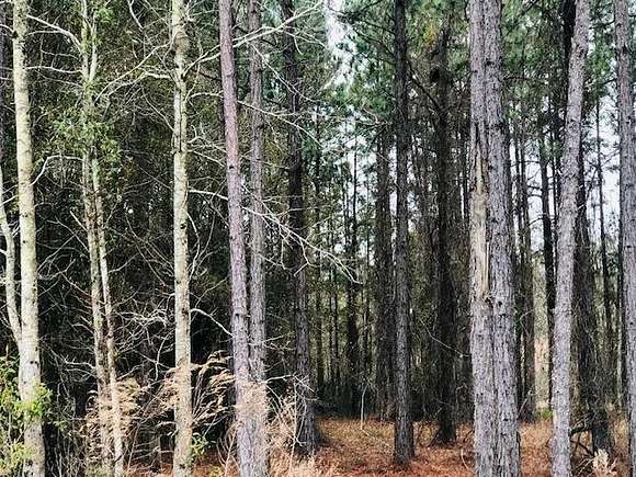 5.2 Acres of Residential Land for Sale in Lyons, Georgia