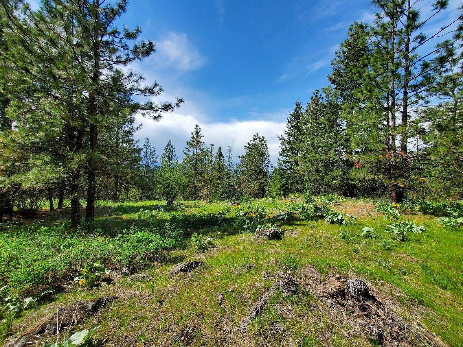 25.04 Acres of Recreational Land for Sale in Spokane, Washington