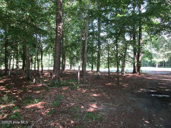 0.44 Acres of Residential Land for Sale in Hertford, North Carolina